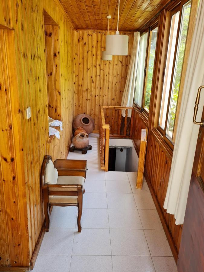 Elpiniki'S Old House Villa Kalopanagiotis Dış mekan fotoğraf